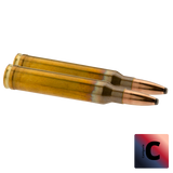 Geco .300 Win. Mag. SOFTPOINT 170 gr / 11,0 g