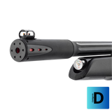 Carabine PCP GAMO Arrow 4.5mm 19.9Joules