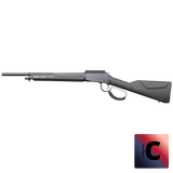 Carabine RIO BRAVO Tactical 22LR BLACK