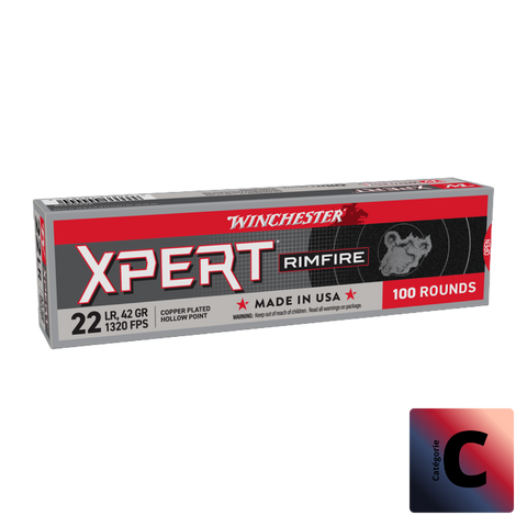 Balles 22 LR Expert CP 42Gr x100