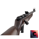 Carabine ROSSI 8122 22LR BOIS